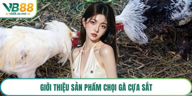 Giới thiệu sản phẩm chọi gà cựa sắt
